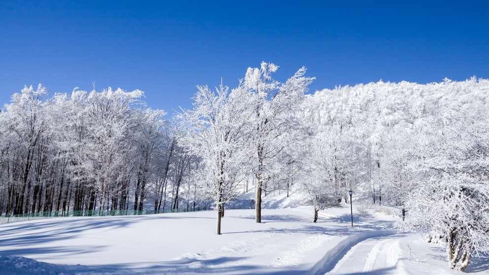 “雪假”落地，如何用好弹性休假实现“亲子同休”？