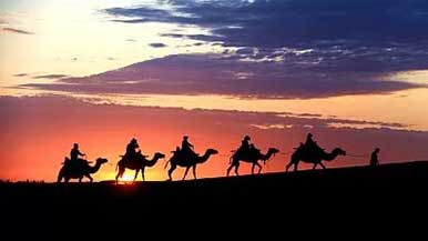 扎根大漠半生 守护敦煌文明