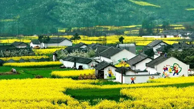 释放旅游乘数效应 赋能和美乡村建设