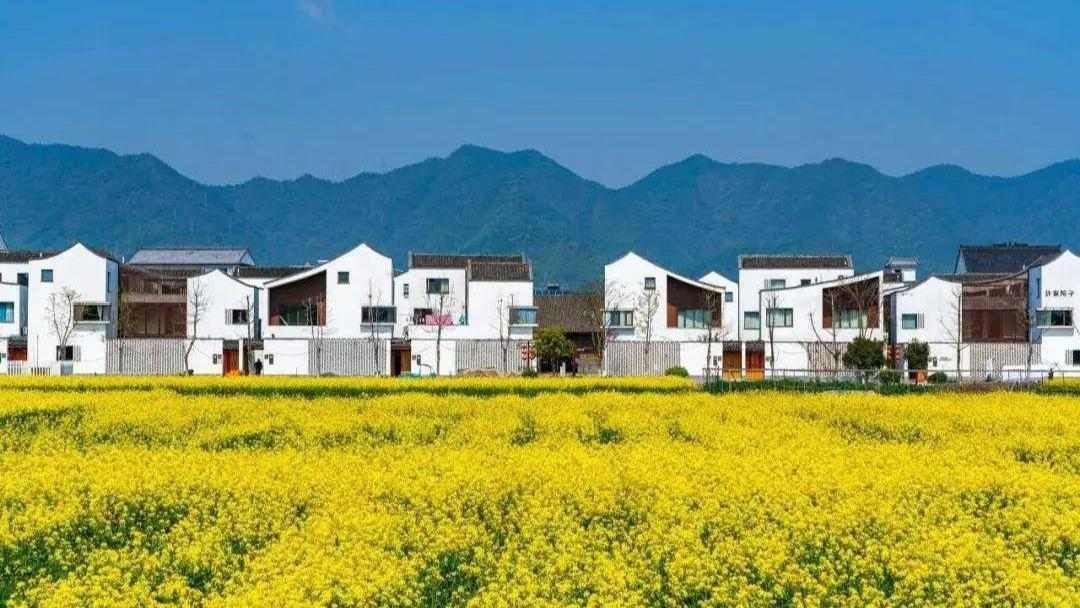 助力发展乡村特色产业和品牌经济 我国进一步加强地理标志运用