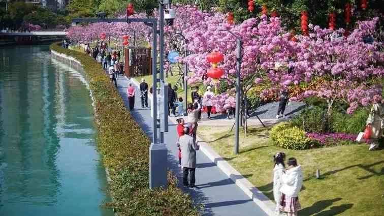 级别晋升！南山这两个网红打卡点传利好消息