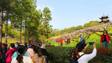 浙江长兴以“桃”为媒谱写东西部协作曲
