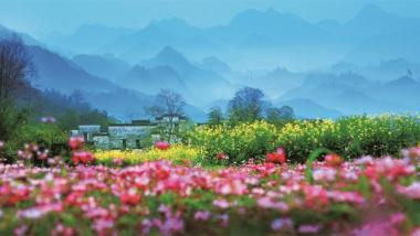 聚势踏歌行 莫负好春光——江西文旅新一年工作目标任务确立