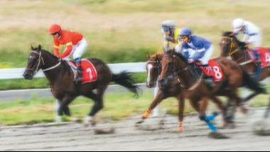 为一场赛事赴一座城：“运动起来”带火暑期游