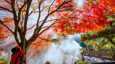 江西庐山：打造“美誉庐山” 推动旅游经济量质齐升