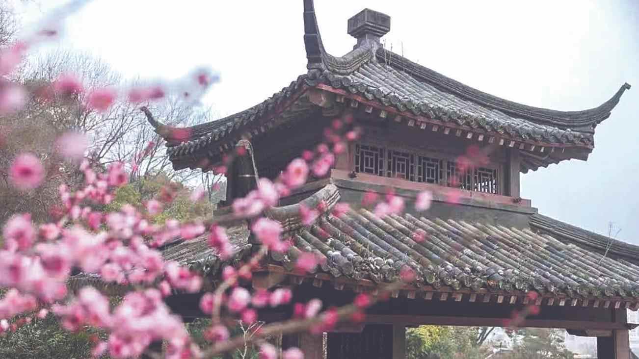 来东湖，在空中赏花