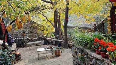 敲开乡村振兴致富门