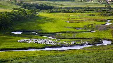 国家文物局携手国家林业和草原局 开展“红色草原”推介活动