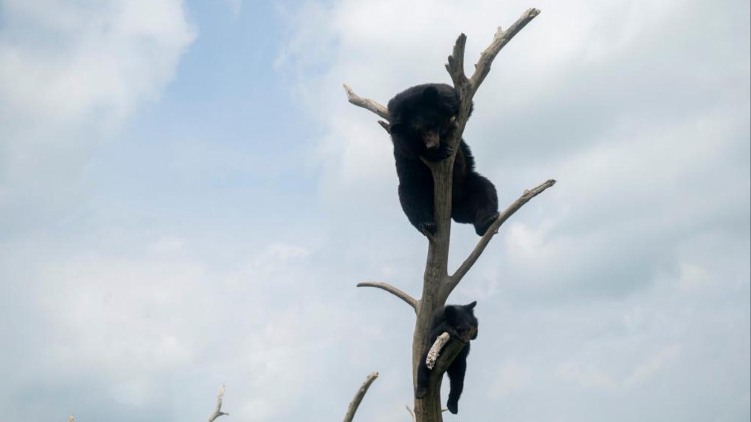 中国东极旅游升温吸引海外目光