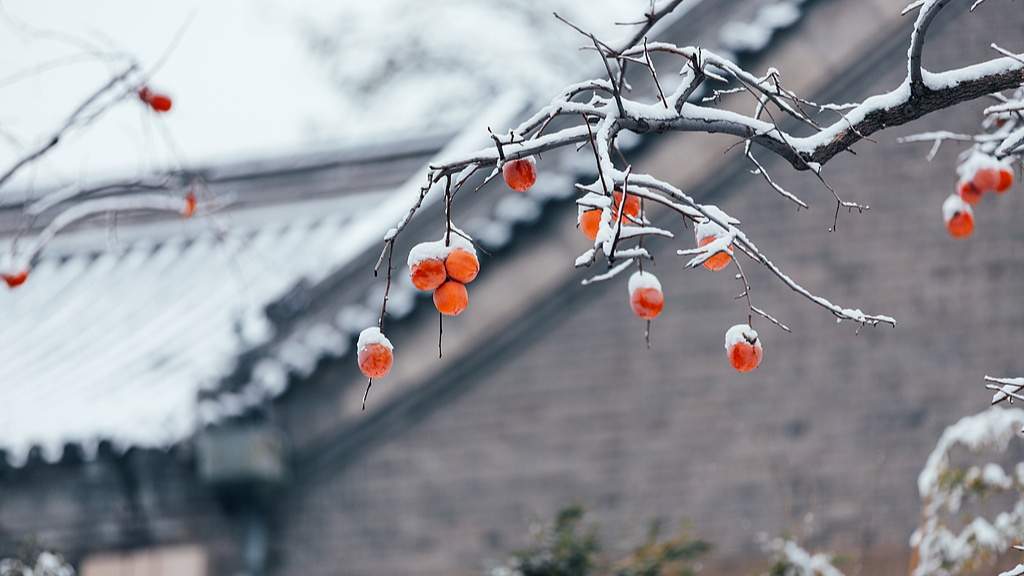 节令之美｜7日6时20分立冬：昨夜清霜冷絮�n，纷纷红叶满阶头