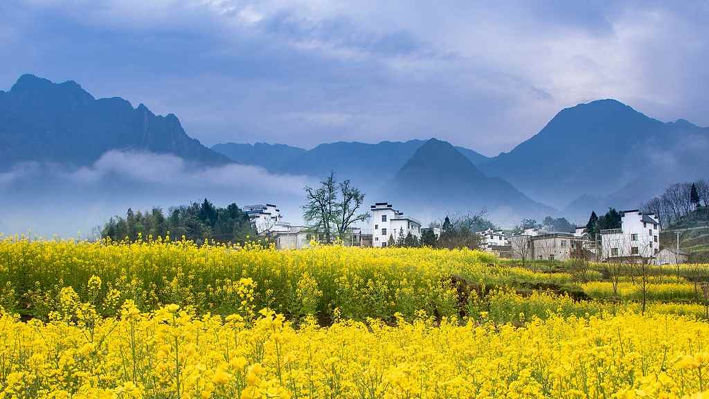 四月春浓花似海，“高铁 +” 丰富出游体验