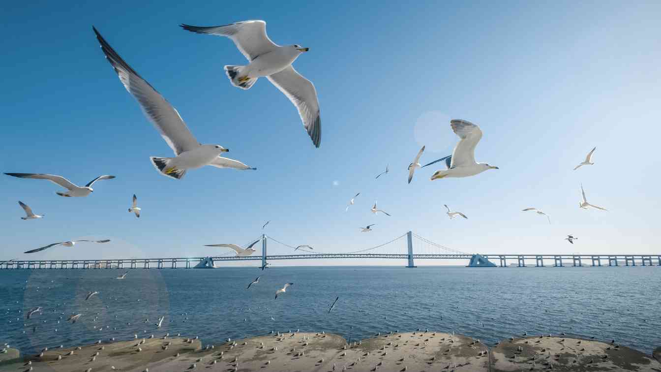 7月起离境退税政策实施新增大连市、湖北省