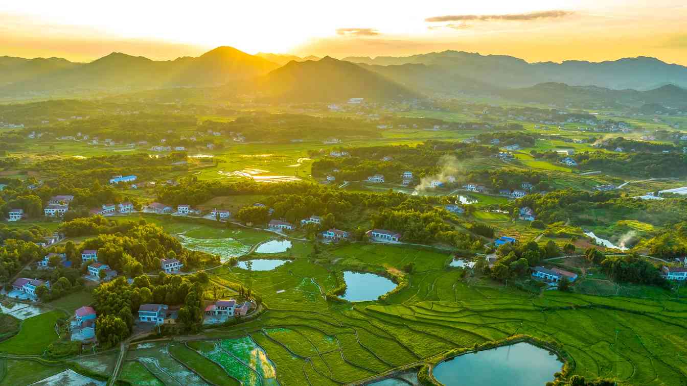 良种良技良法助力来年好“丰”景 特色农业开启乡村振兴“新引擎”