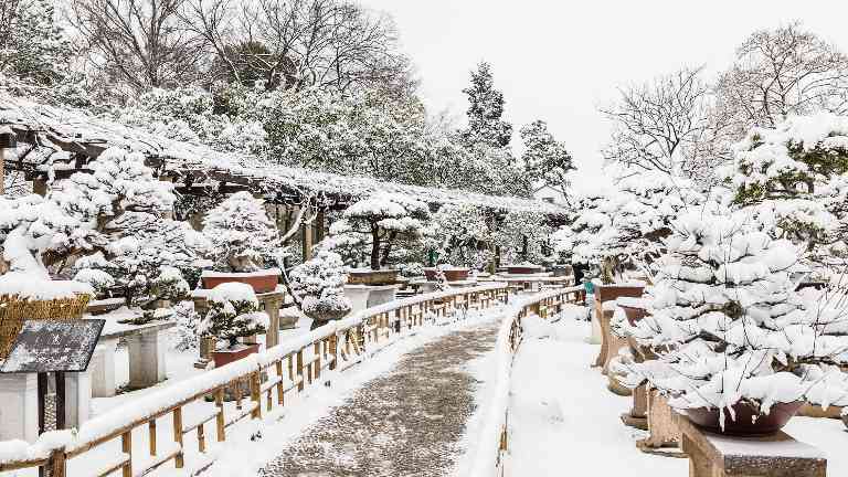 多元业态解锁消费新体验 冬季文旅市场焕发新活力