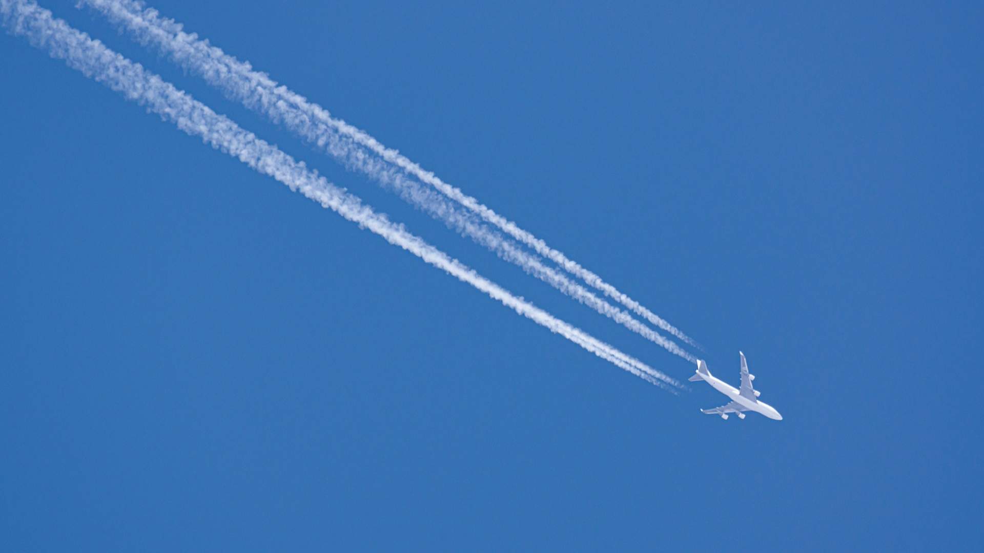 航司年底密集开航新航线，瞄准国际市场抢客流