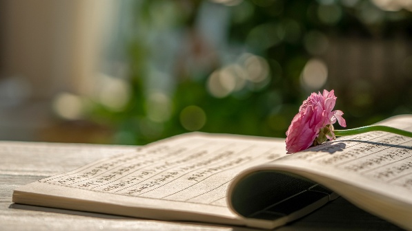 三个视角看文化出海