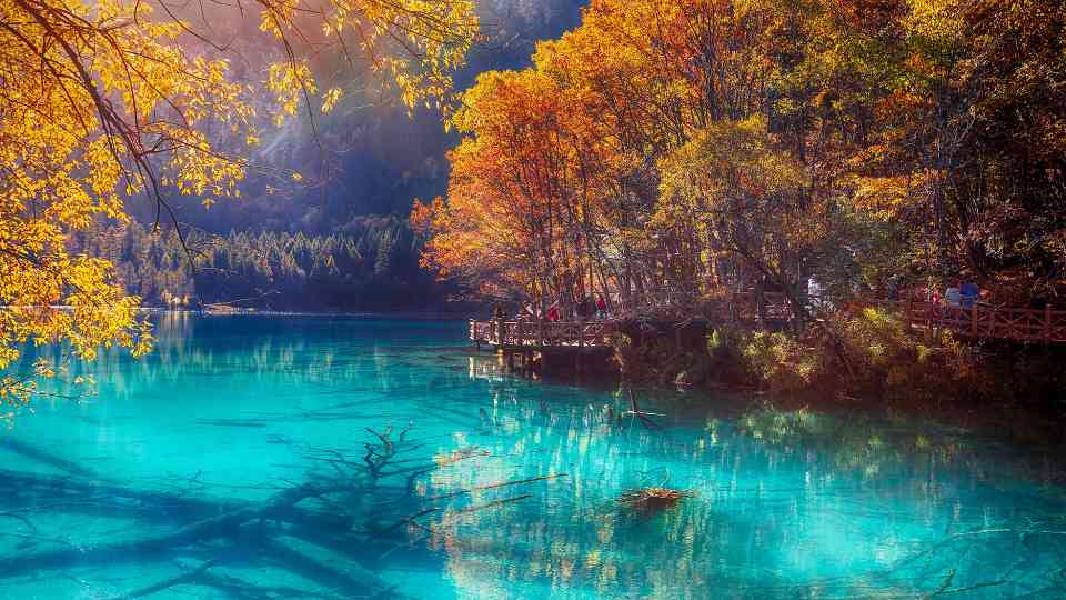 突破600万！九寨沟游客接待量创40年新高