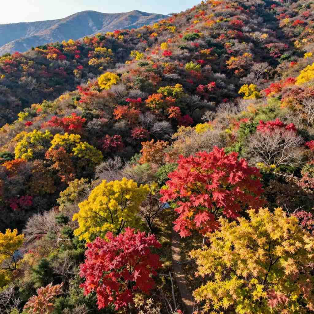 特色赏秋游热潮澎湃